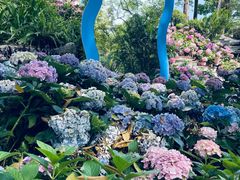 -广西壮族自治区药用植物园