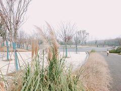 -盘龙城国家考古遗址公园