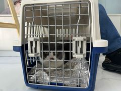 -纳吉亚猫专科动物诊疗中心(蒋宅口分院)