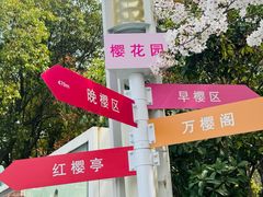 -高东镇樱花园