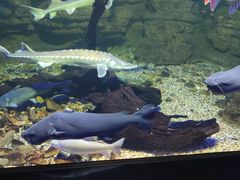 -江和美海洋公园