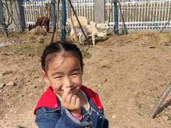 -陆地游轮吉林神农温泉