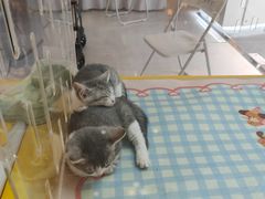 -万达广场(北京槐房店)