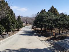 -北京西山国家森林公园