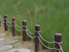 -红花山公园