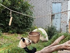 -常州淹城野生动物世界