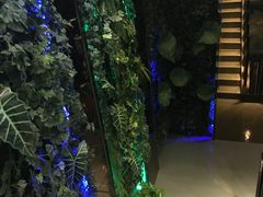 -观唐足道SPA养生会馆(南湖店)