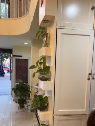 -丽时 Hair Salon