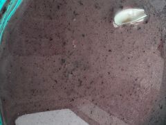 -玖鲜小笼(中山广场店)