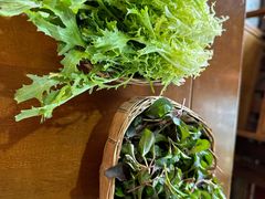 -岳记兴隆·青城腊排铜火锅(融创店)