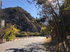 -金龙寺国家森林公园