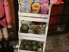 -时光码头民谣公社