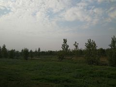 -洨河生态公园