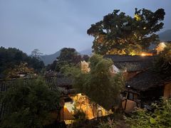 -杨家堂村
