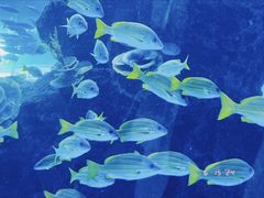 -成都浩海立方海洋公园