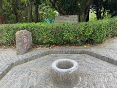 -上海佘山国家森林公园天马山园