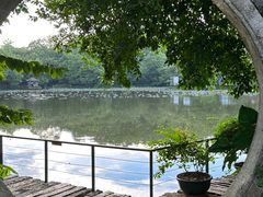 -老木棉·匠园