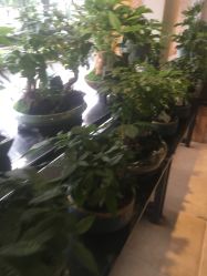 -花落谁家婚礼策划(永安街店)