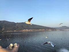 -海埂大坝