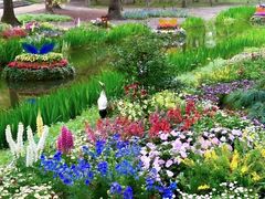 -上海共青森林公园