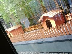 -上海崇明金茂凯悦酒店