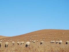 -塞罕坝国家级自然保护区