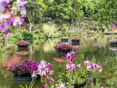 -深圳仙湖植物园