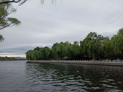 -后海公园