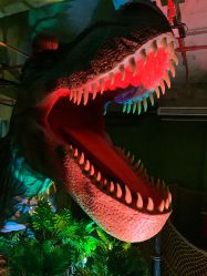 -恐龙探索乐园(磁器口店)