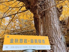 -大慈岩风景区