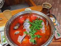 -老滇山寨•云南特色菜•地方菜•民族风情歌舞表演(金碧店)