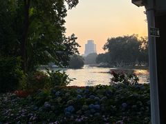-荔湾湖公园