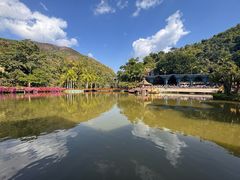 -西双版纳原始森林公园