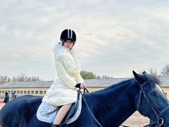 -北京群众马术培训基地