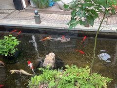 -野蔓果·山野菜(西湖景区·龙井茶田店)