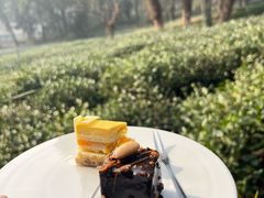 -野蔓果·山野菜(西湖景区·龙井茶田店)