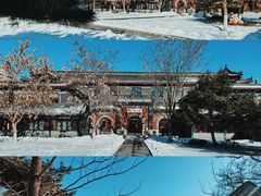 -护国法轮寺