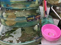 大堂-烁佳海鲜大馅饺子