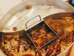 小鸳鸯锅底-野妹火锅(龙岗店)