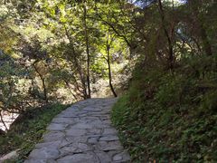 -少华山国家森林公园