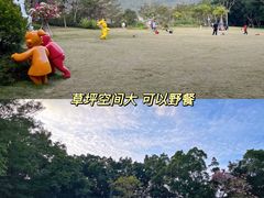 -银湖山郊野公园-相思林