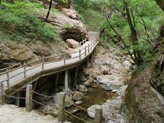 -牛背梁国家森林公园