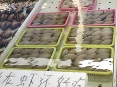 -南沙十九涌渔人码头-南门