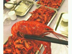 -湖南东洞庭湖国家级自然保护区