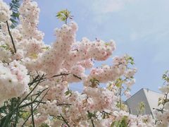 -大连外国语大学(旅顺校区)