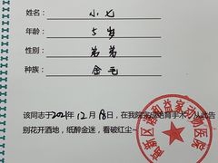 -谐和益家动物医院·免疫绝育·血液透析·宠保定点医院(高新伊藤分院)