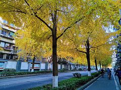 -四川大学(望江校区)