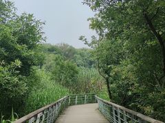 -西湖风景区-江洋畈生态公园