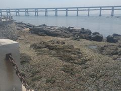 -黑石礁公园