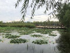 -绿堤公园